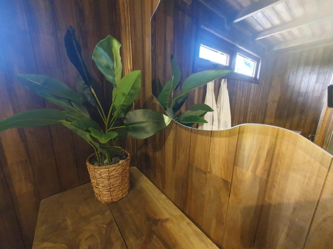 Apartamento Domos Anulen Puerto Varas Exterior foto